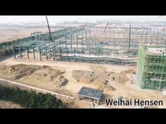 وی های هنسن