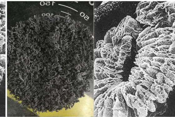 تولید کننده چین + 80 مش + 100 مش با کربن بالا 98٪ گرافیت منبسط شده طبیعی مورد استفاده در ماشین آلات